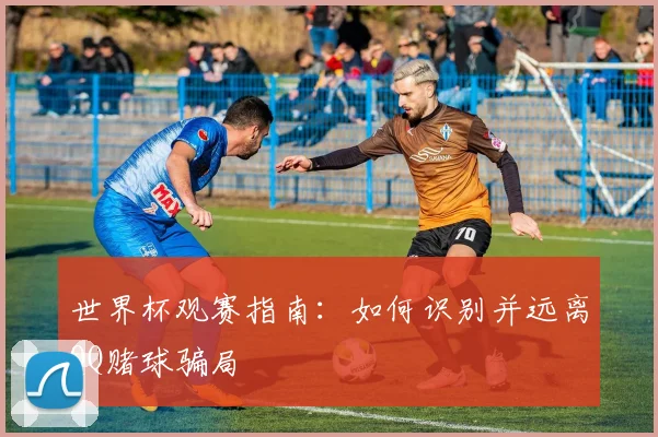 世界杯观赛指南：如何识别并远离QQ赌球骗局