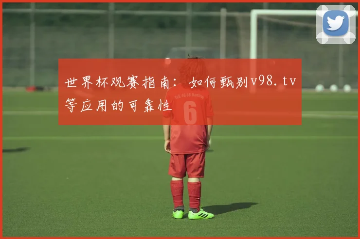 世界杯观赛指南:如何甄别v98.tv等应用的可靠性