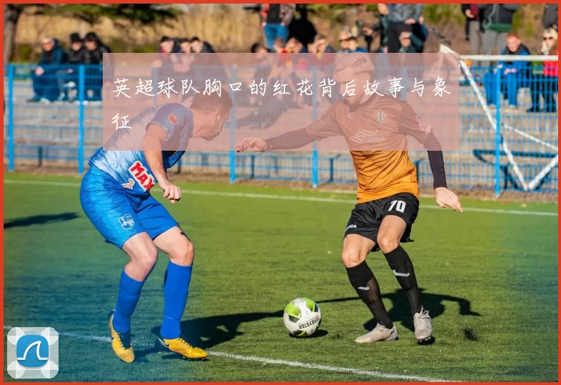 英超球队胸口的红花背后故事与象征