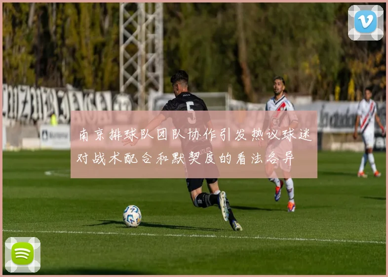 南京排球队团队协作引发热议球迷对战术配合和默契度的看法各异