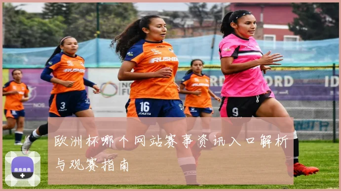 欧洲杯哪个网站赛事资讯入口解析与观赛指南