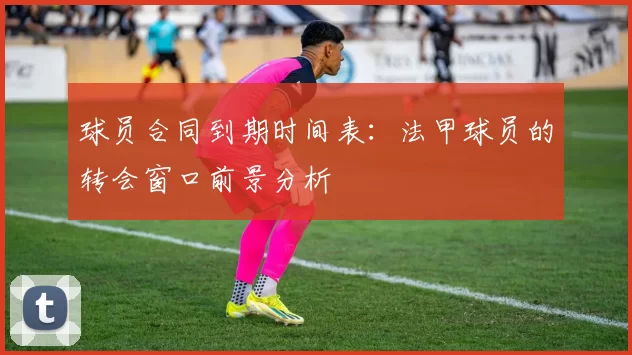 球员合同到期时间表：法甲球员的转会窗口前景分析