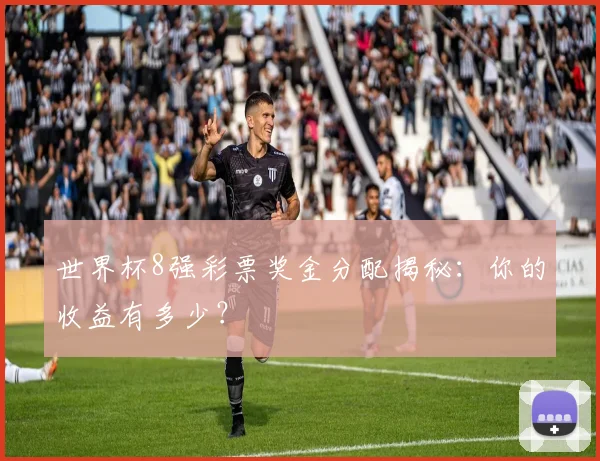 世界杯8强彩票奖金分配揭秘:你的收益有多少?