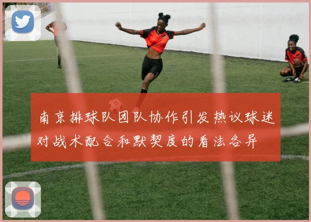 南京排球队团队协作引发热议球迷对战术配合和默契度的看法各异