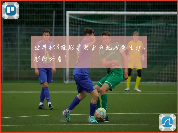 世界杯8强彩票奖金分配方案出炉,彩民必看!