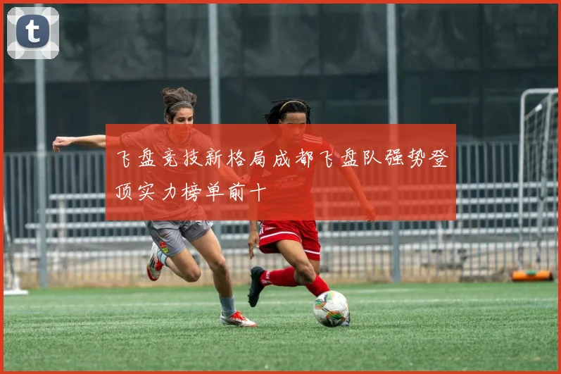 飞盘竞技新格局成都飞盘队强势登顶实力榜单前十