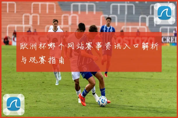 欧洲杯哪个网站赛事资讯入口解析与观赛指南