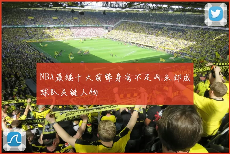 NBA最矮十大前锋身高不足两米却成球队关键人物