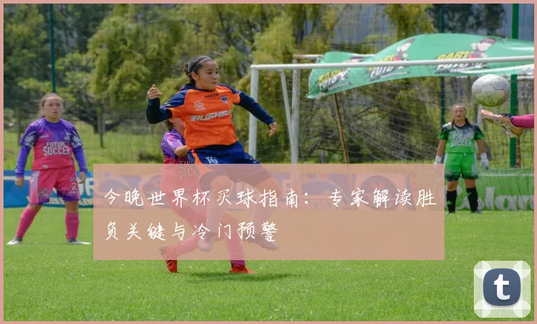 今晚世界杯买球指南:专家解读胜负关键与冷门预警