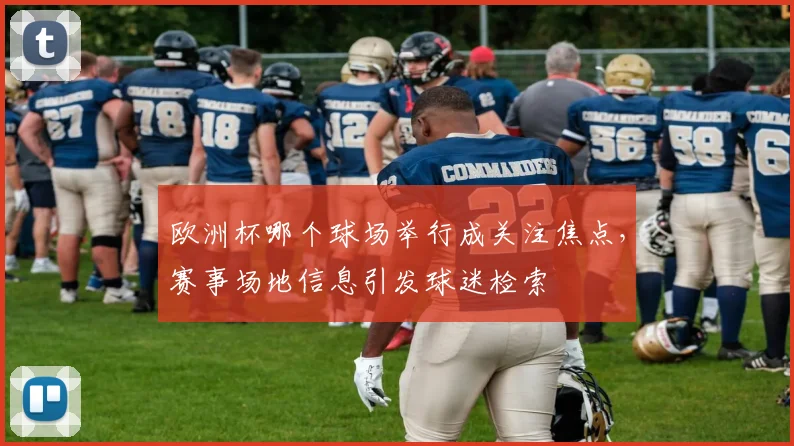 欧洲杯哪个球场举行成关注焦点,赛事场地信息引发球迷检索
