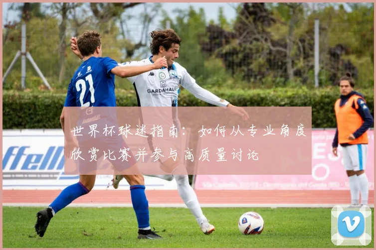 世界杯球迷指南:如何从专业角度欣赏比赛并参与高质量讨论