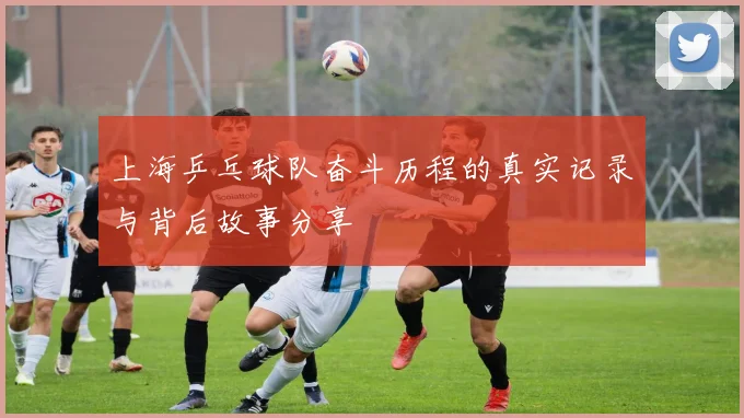 上海乒乓球队奋斗历程的真实记录与背后故事分享