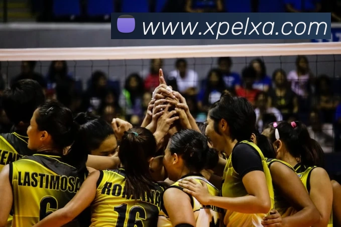 华体会体育服务体系